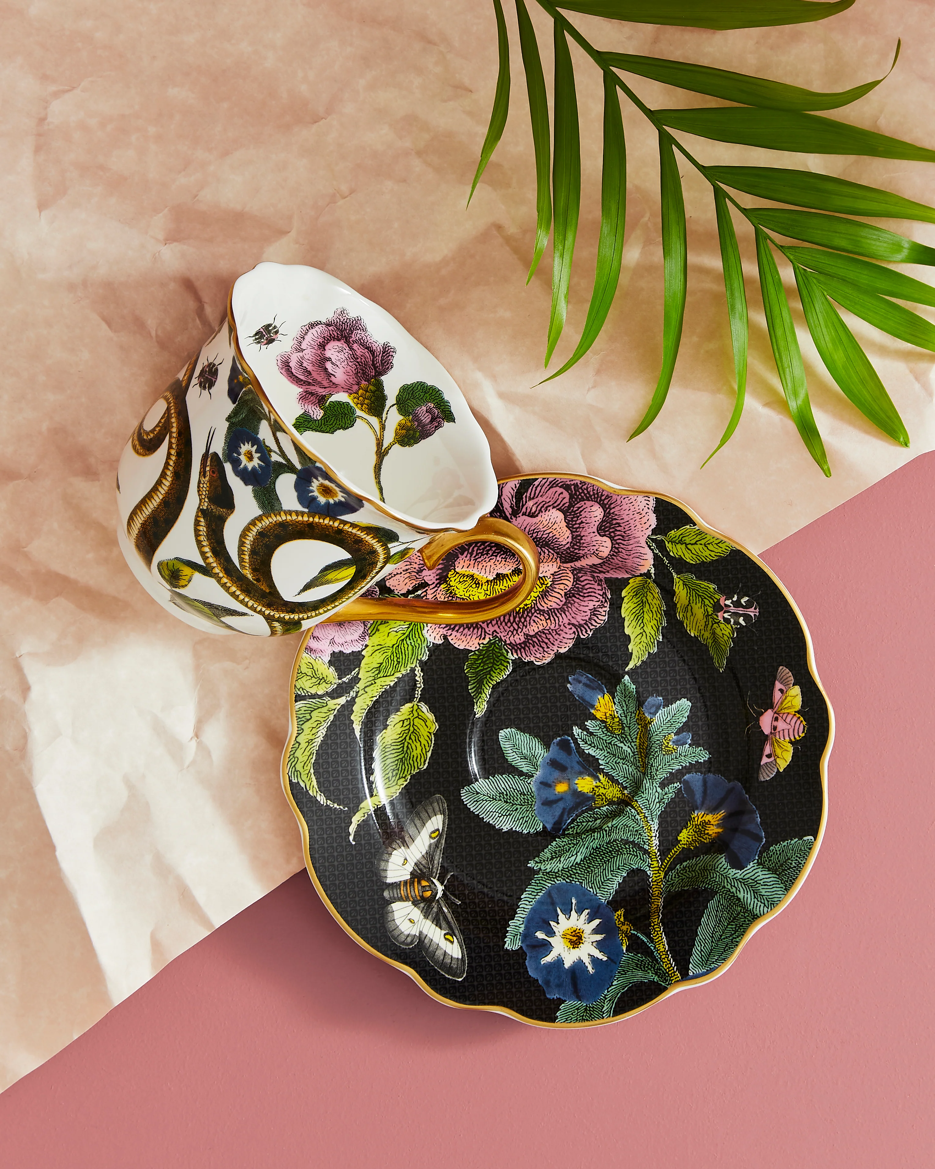 Spode Creatures of Curiosity Dark Floral Teacup and Saucer (Snake/Black) - Image 3
