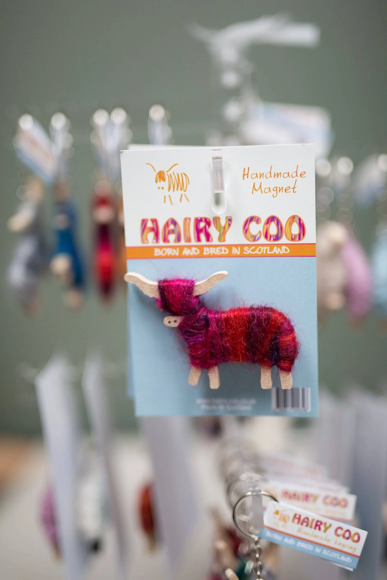 Hairy Coo - Handmade Highland Cow Magnet - Born and Bred in Scotland - Image 3