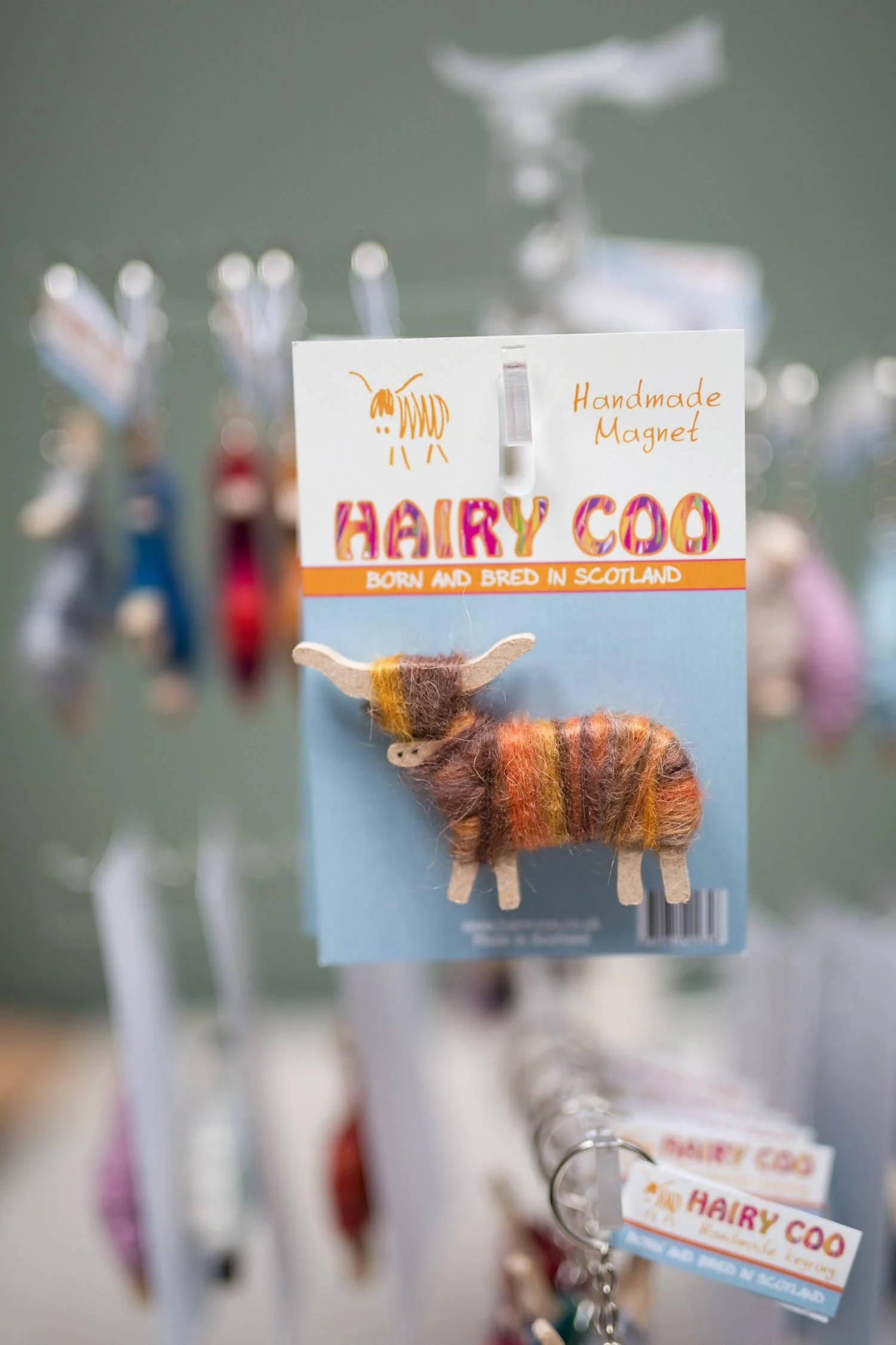 Hairy Coo - Handmade Highland Cow Magnet - Born and Bred in Scotland - Image 6