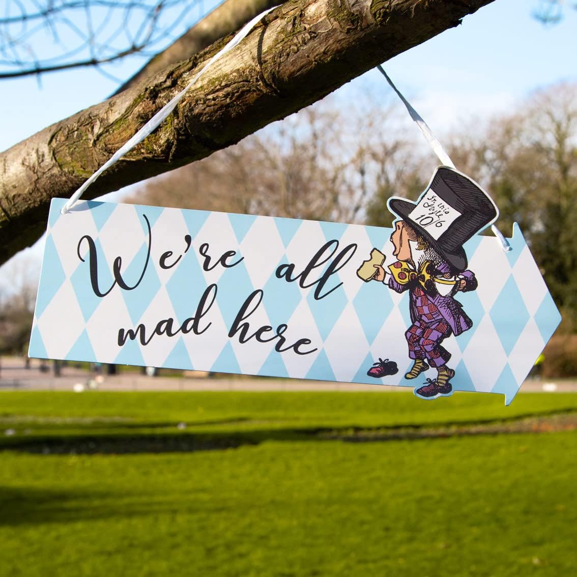 Talking Tables Alice 12 Most Curious Party Signs. - Image 2
